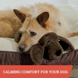 JML Golden Huggie Pup Plush Toy