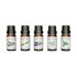Rio Aromatherapy Oil CollectionPack of 5