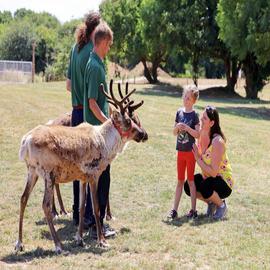 Red Letter Days Zoo Keeper For Two Gift Experience