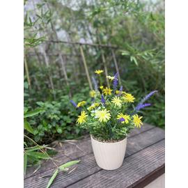 Garden By Sainsbury's Artificial Yellow Flowers In Pot