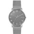 Skagen Men's Signitur Metallic Mesh Strap Watch