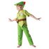 Disney Peter Pan Dress Up Costume - 5-6 Years