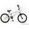 Silverfox Talon 20 Inch BMX Bike