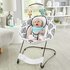 Fisher-Price See & Soothe Deluxe Baby Bouncer