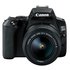 Canon EOS 250D DSLR Camera Body with 1855mm DC Lens