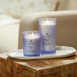 Chesapeake Bay Medium Jar Candle - Lavender Thyme