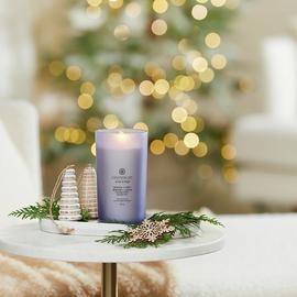 Chesapeake Bay Large Jar Candle - Lavender Thyme