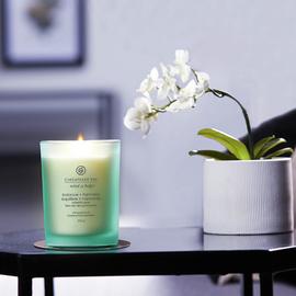 Chesapeake Bay Medium Jar Candle - Waterlily Pear