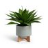 Argos Home Agave Artificial Plant in Ceramic Pot with Stand