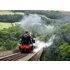 Family Steam Train For Four Gift Experience