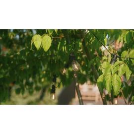 Smart Garden 20 Vintage Festoon String Lights - Warm White