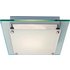 Argos Home Square Frosted Glass Flush Ceiling Fitting