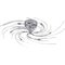 Argos Home 6 Light Spiral Ceiling Fitting - Chrome