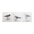 Arthouse Coastal Birds Boxed PrintSet of 3