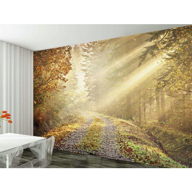 Buy 1Wall Winter Forest Road Wall Mural at Argos.co.uk Your Online