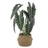 Argos Home Artificial Potted Plant in Basket
