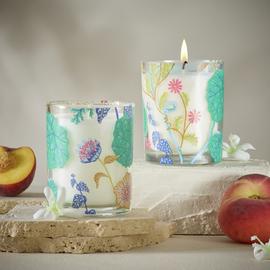 Habitat Star Jasmine and Peach Candle Gift Set - Pack of 2