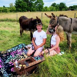 Activity Superstore Donkey Picnic At Dashing Donkeys For 4