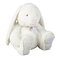 Baby 2020 My First Bunny Soft Toy