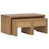 Collection Coffee Table with Nest of 2 Tables