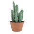 Argos Home Sahara Faux Cactus Pot