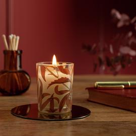 Habitat x Morris & Co. Oak & Fallen Acorn Votive Candle
