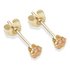 9ct Gold Champagne Cubic Zirconia Stud Earrings3mm