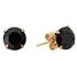 Revere 9ct Yellow Gold Black Sapphire Sept Stud Earrings