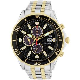 Citizen Men's Two Tone Stainless Steel Bracelet Watch