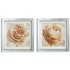 Collection Set of 2 Roses in Mirror Frame Prints - Cream