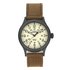 Timex Men's Expedition Scout Brown Strap Watch