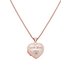 Moon & Back Rose Gold Diamond Accent Heart Locket 18in
