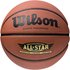 Wilson All Star Basketball