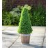 Argos Home Faux Cone Tree Wooden Pot