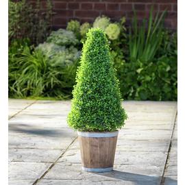 Garden by Sainsbury's Faux Cone Tree Wooden Pot