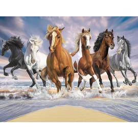 Walltastic Wild Horses Kids Wall Mural
