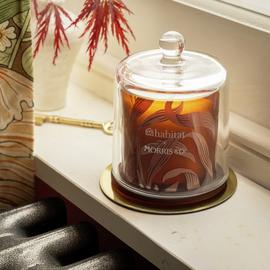 Habitat x Morris & Co. Oak & Fallen Acorn Small Glass Candle