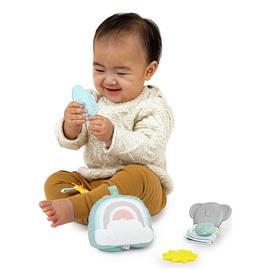 Ingenuity Calm Springs Gift Set