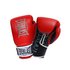 Everlast 14oz Leather Boxing GlovesRed