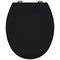 Bemis Phoenix Statite Slow Close Toilet Seat - Black