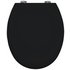 Bemis Phoenix Statite Slow Close Toilet Seat - Black