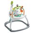 Fisher-Price Colourful Carnival SpaceSaver Jumperoo