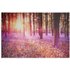 Collection Bluebell Wood Canvas