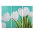 Collection Tulip Triptych Canvas - Set of 3