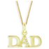 Moon & Back Gold Plated Silver Cubic Zirconia Dad Pendant