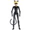 Miraculous Action Figure Cat Noir