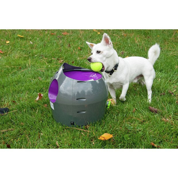 Fraude Boven hoofd en schouder Wiegen Buy PetSafe Automatic Ball Launcher | Dog toys | Argos