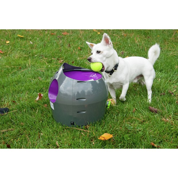 Tennis ball hot sale launcher uk