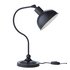 HOME Coral Curved Table Lamp - Black