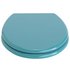 ColourMatch Toilet Seat - Teal